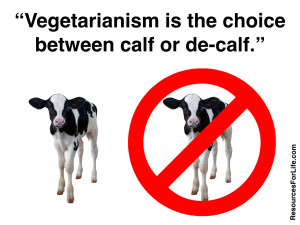 20140806we-vegetarianism-is-the-choice-between-calf-or-de-calf-300x225