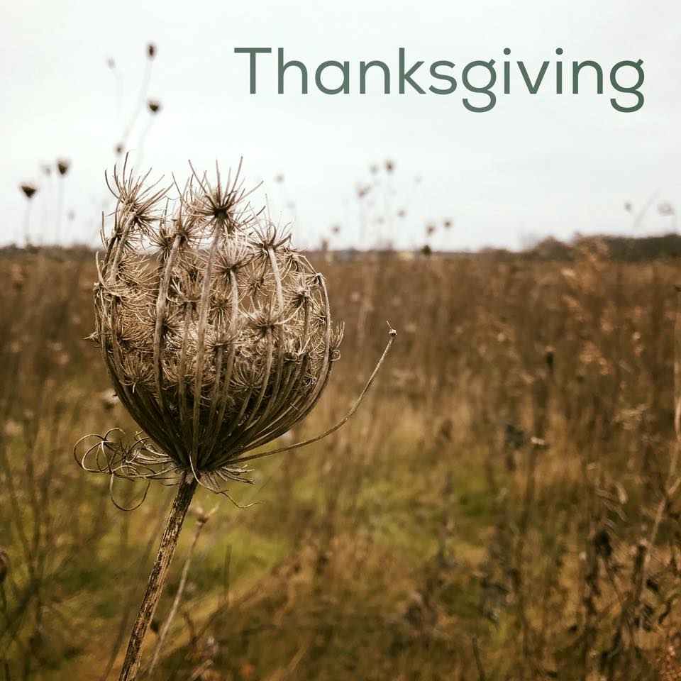 20161124th-thankgiving-message-photo